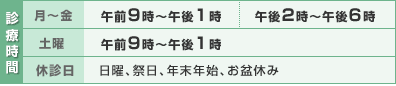 診療時間:月〜金:午前9時〜午後1時/午後2時〜午後6時、土曜:午前9時〜午後1時、休診日:日曜、祭日、年末年始、お盆休み